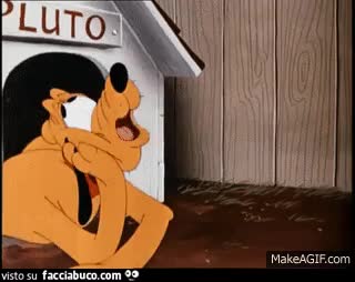 gif animata