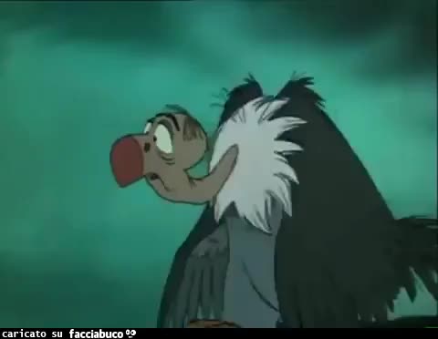 gif animata