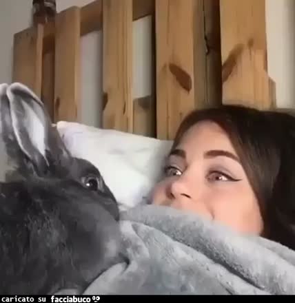 A letto con la coniglietta
