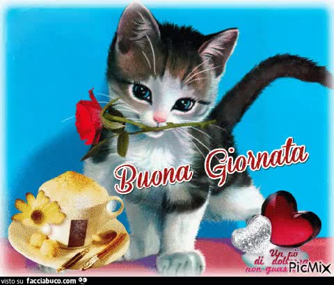 gif animata
