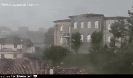 gif animata