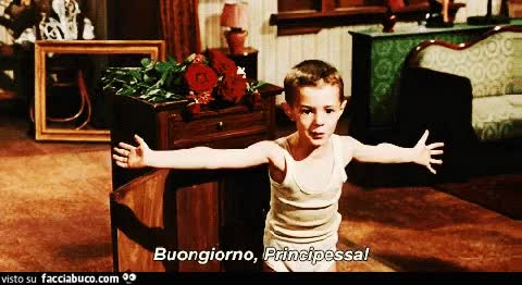 gif animata