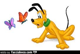gif animata