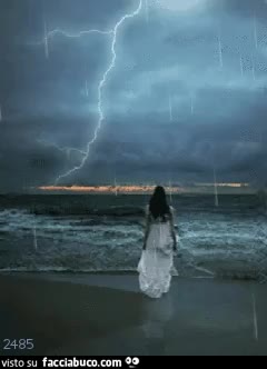 gif animata